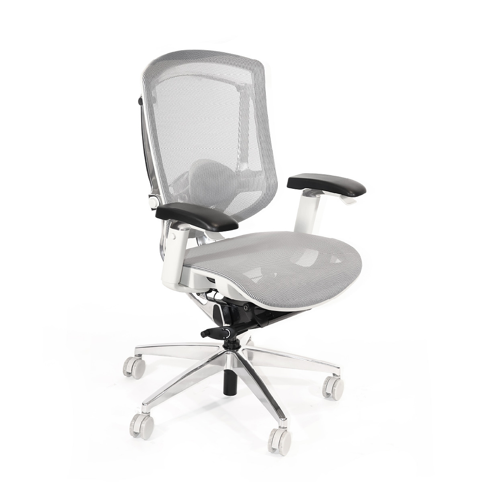 Silla Ergonómica - MANTIS *Gris 5