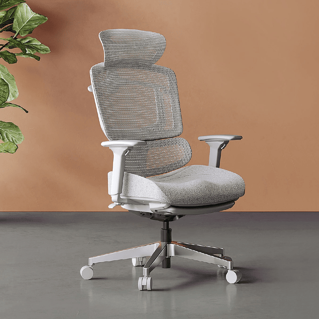 Silla Ergonómica - CLOUD *Gris 5