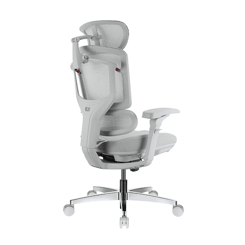 Silla Ergonómica - CLOUD *Gris