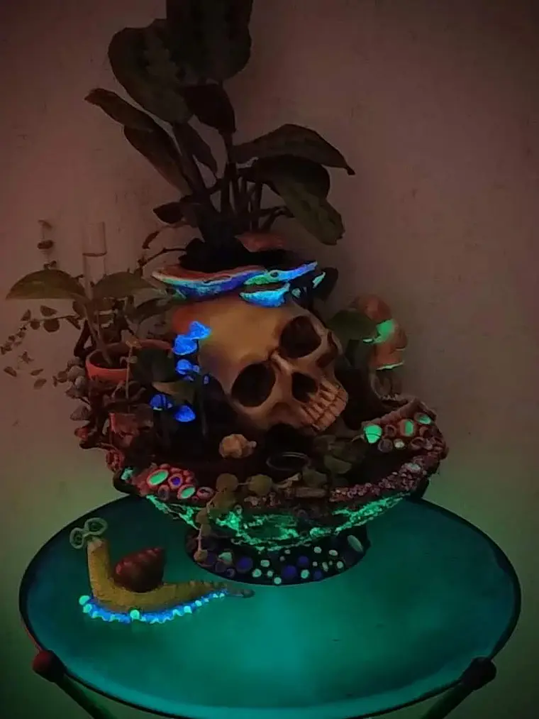 Skull globe/specimen/planter  11