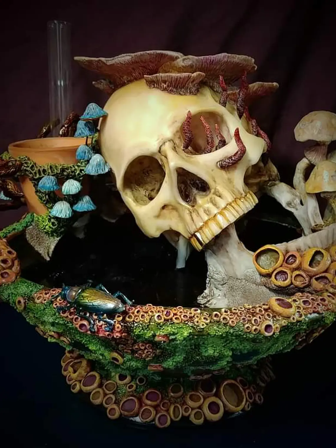 Skull globe/specimen/planter  7