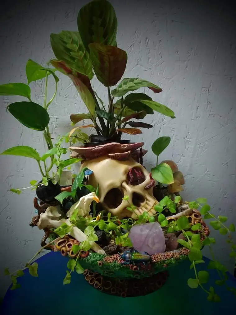 Skull globe/specimen/planter  12