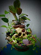Skull globe/specimen/planter  - thumbnail 12