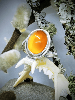 MTO - Carnelian bi-pass ring, classic and clean -  Private collection