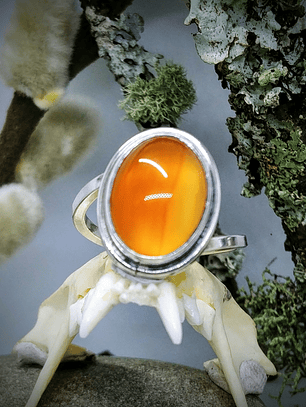 MTO - Carnelian bi-pass ring, classic and clean -  Private collection