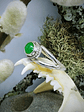 RTS - Apple green Chrysoprase ring - Sterling - Size 8.5 - thumbnail 2