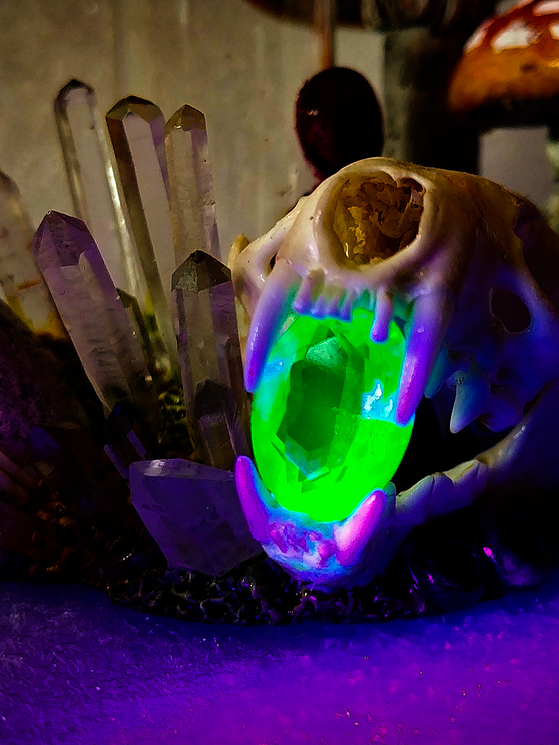 Amanita mushroom & stoat skull Apothecary bottle -  7