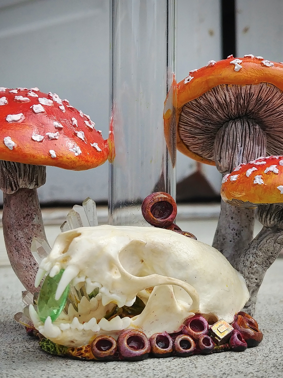 Amanita mushroom & stoat skull Apothecary bottle -  1