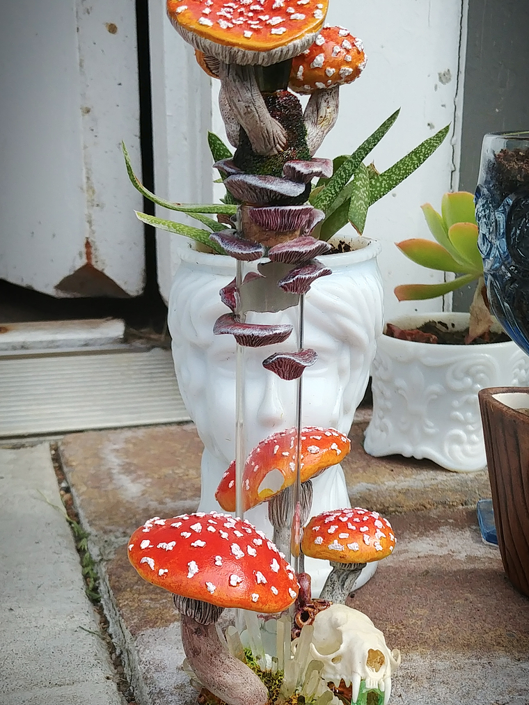 Amanita mushroom & stoat skull Apothecary bottle -  5