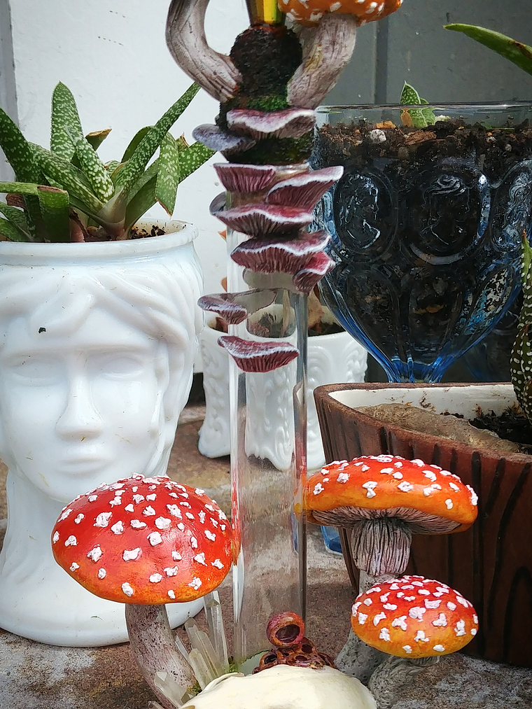 Amanita mushroom & stoat skull Apothecary bottle -  3