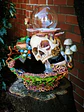 Skull globe/specimen/planter  - thumbnail 4
