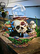 Skull globe/specimen/planter  - thumbnail 3