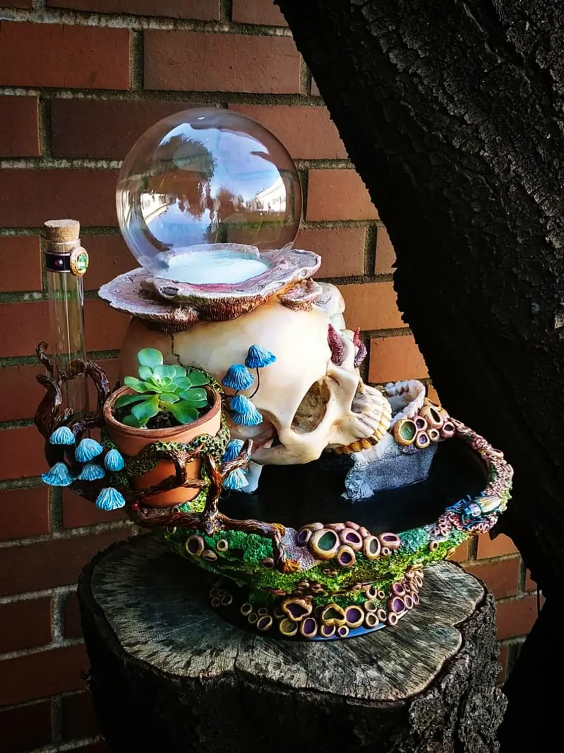 Skull globe/specimen/planter  5