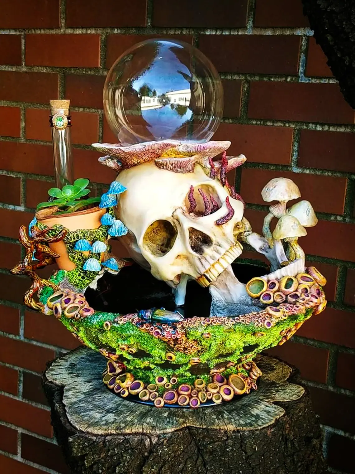 Skull globe/specimen/planter  1
