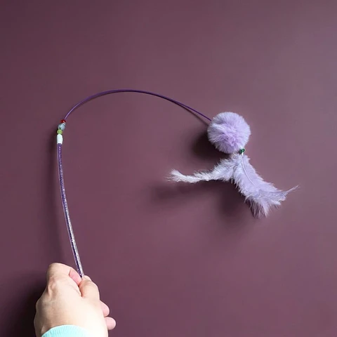 Varilla Con Plumas