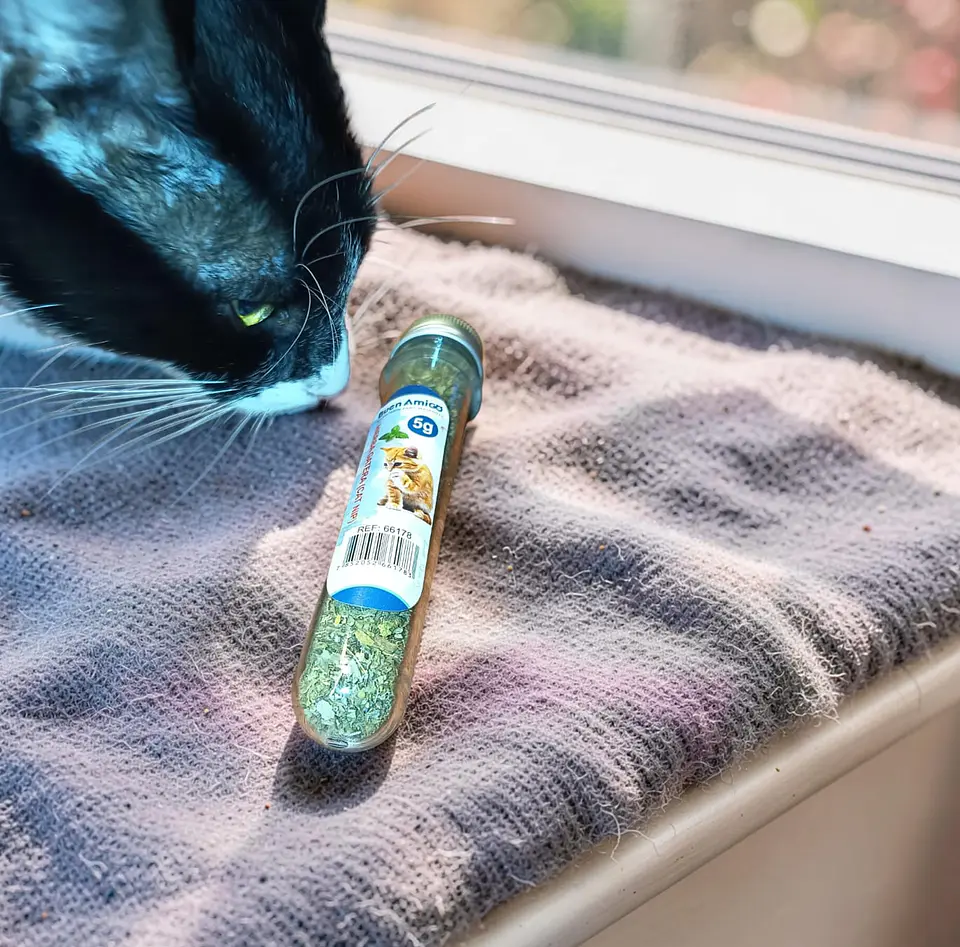 Cat Nip (5 grs.) 1