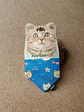 Pañuelos Estilo Bandana para Gatos - Miniatura 3