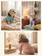 Parka Acolchada Deluxe con Capucha de Oso para Mascotas - thumbnail 1