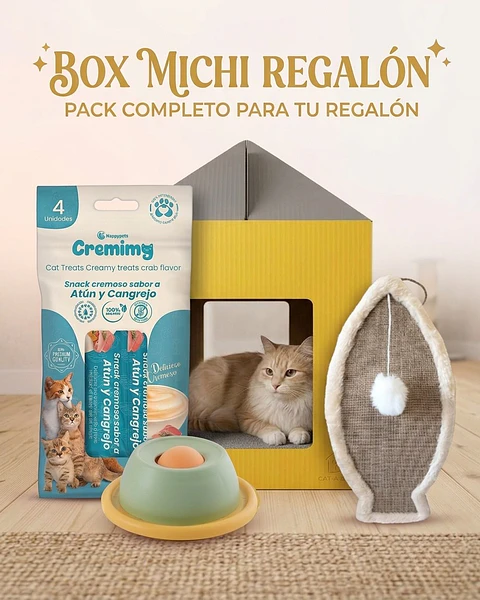 🎁 BOX MICHI REGALÓN ⭐