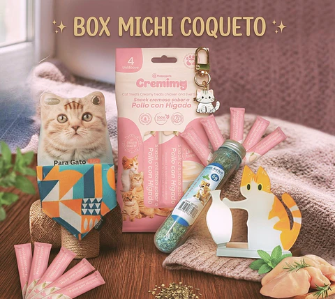 🎀🐱 BOX MICHI COQUETO