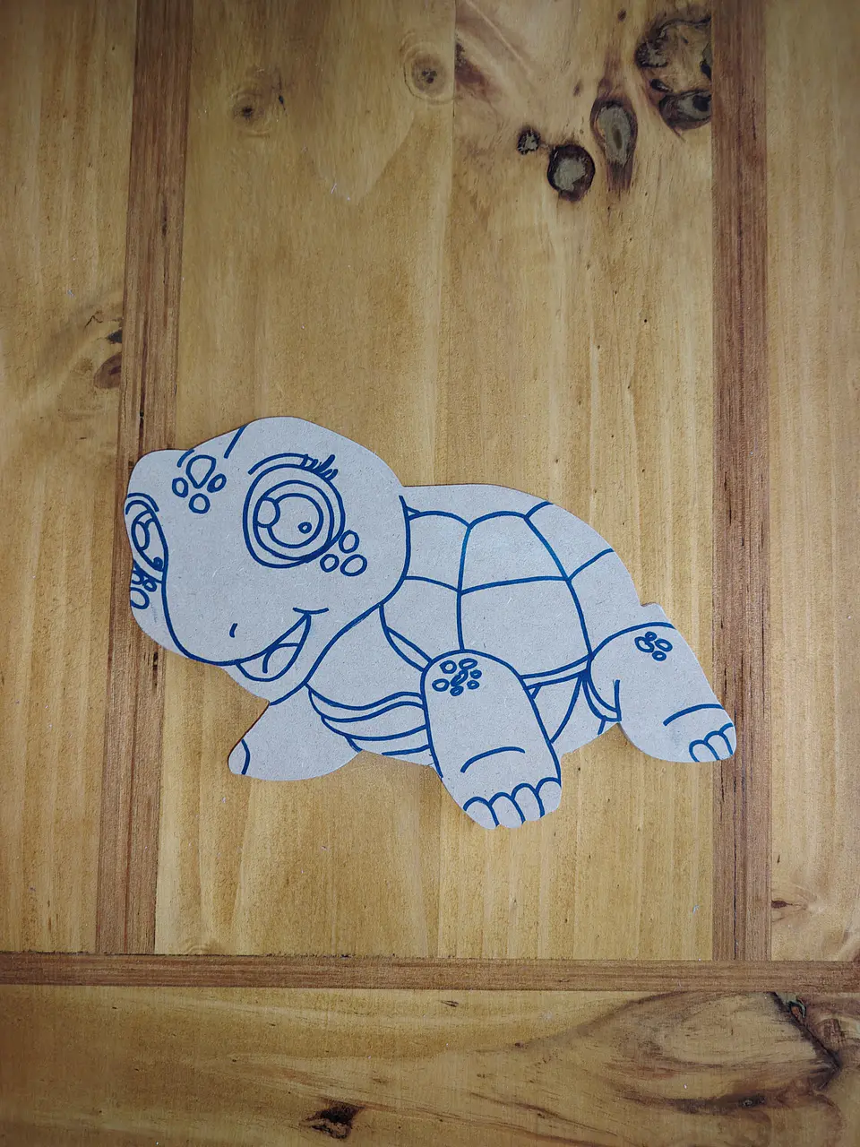 TORTUGA PEQUEÑA 1