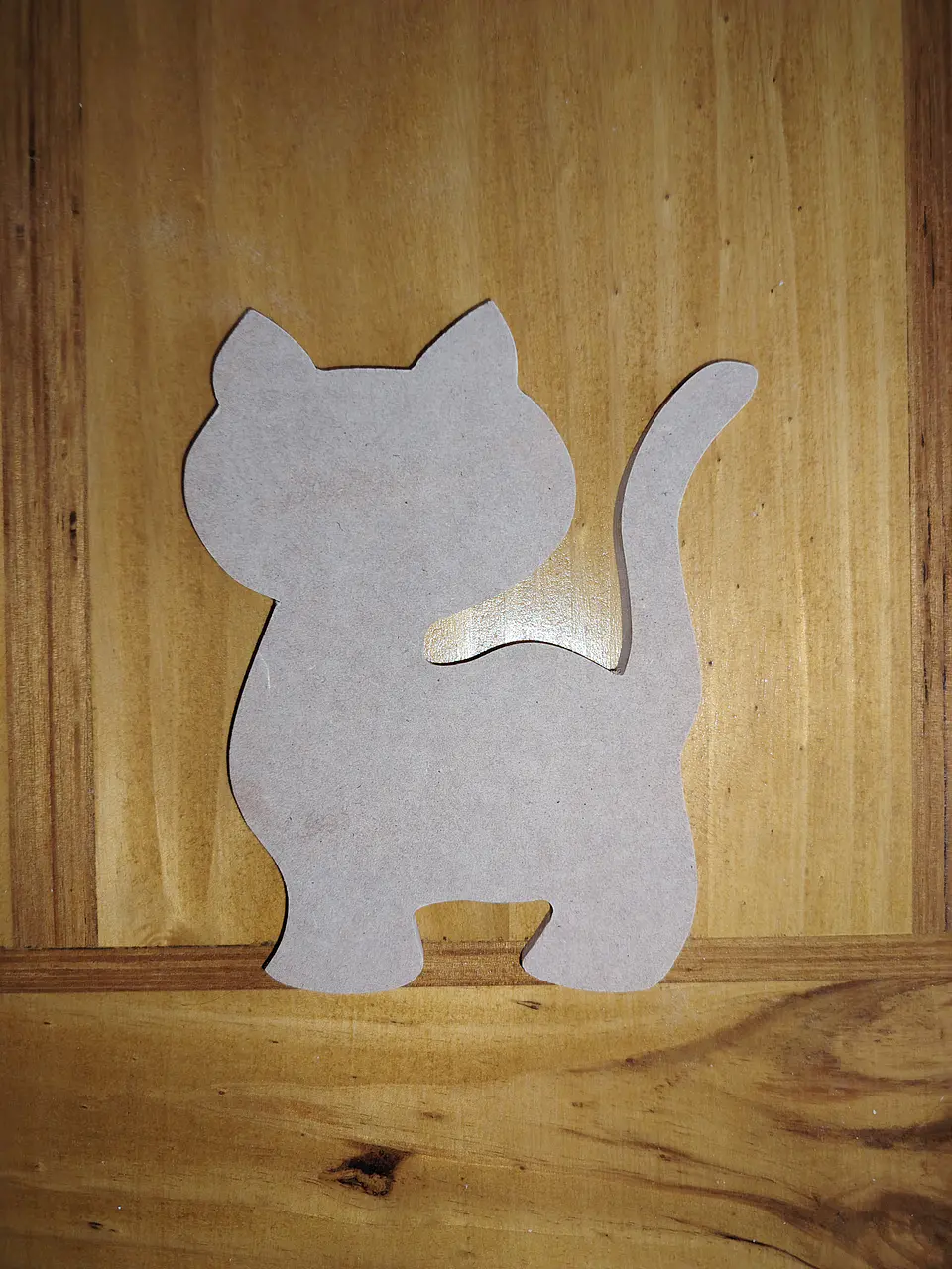 GATO PEQUEÑO 1