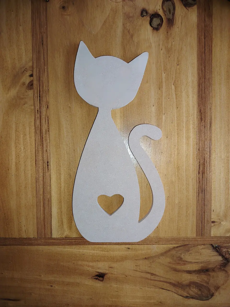 GATO CORAZON CENTRO 1