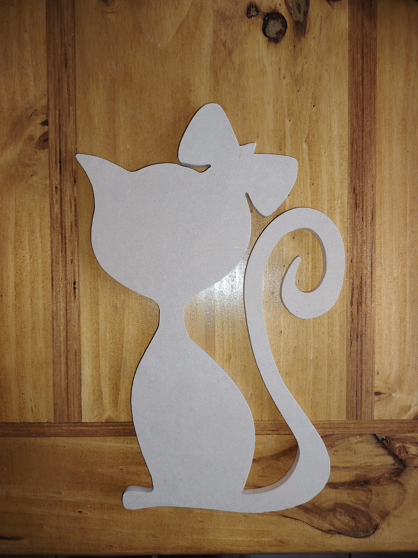 GATA PINCHE 1