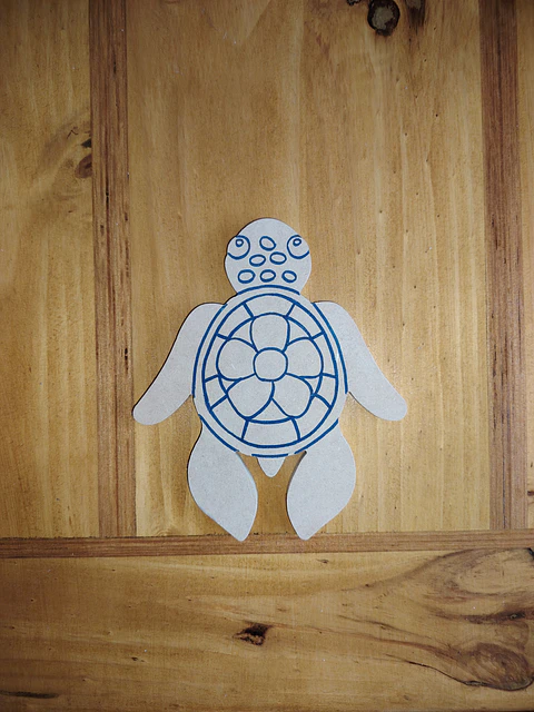 TORTUGA PEQUEÑA 2
