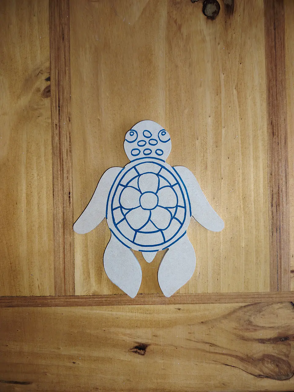 TORTUGA PEQUEÑA 2 1