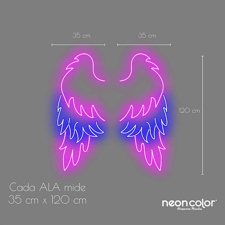 Alas Ángel Bicolor 2