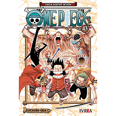One Piece 43 