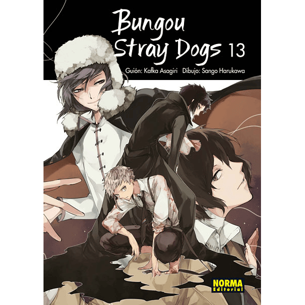 Bungou Stray Dogs 13 