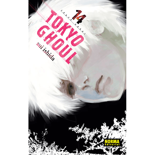 Tokyo Ghoul 14   