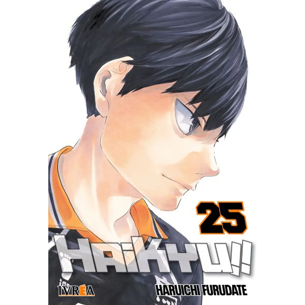 Haikyuu!! 25