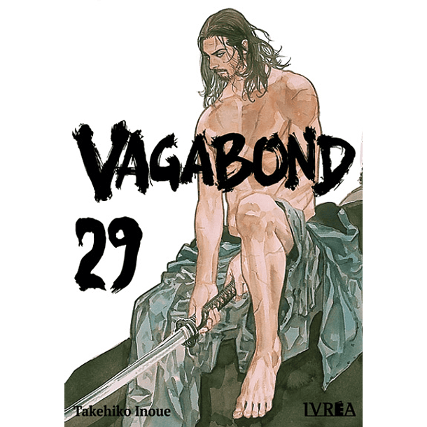 Vagabond 29 