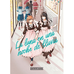 La Luna En Una Noche De Lluvia 7