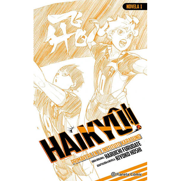 Haikyu Novela 1 