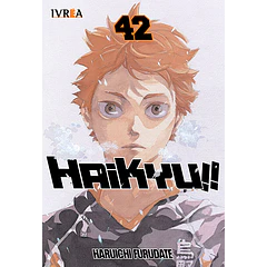 Haikyuu !! 42