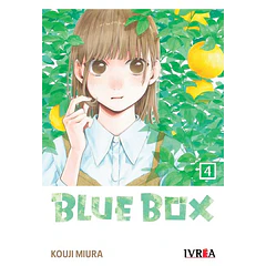 Blue Box 04