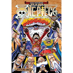 One Piece 110