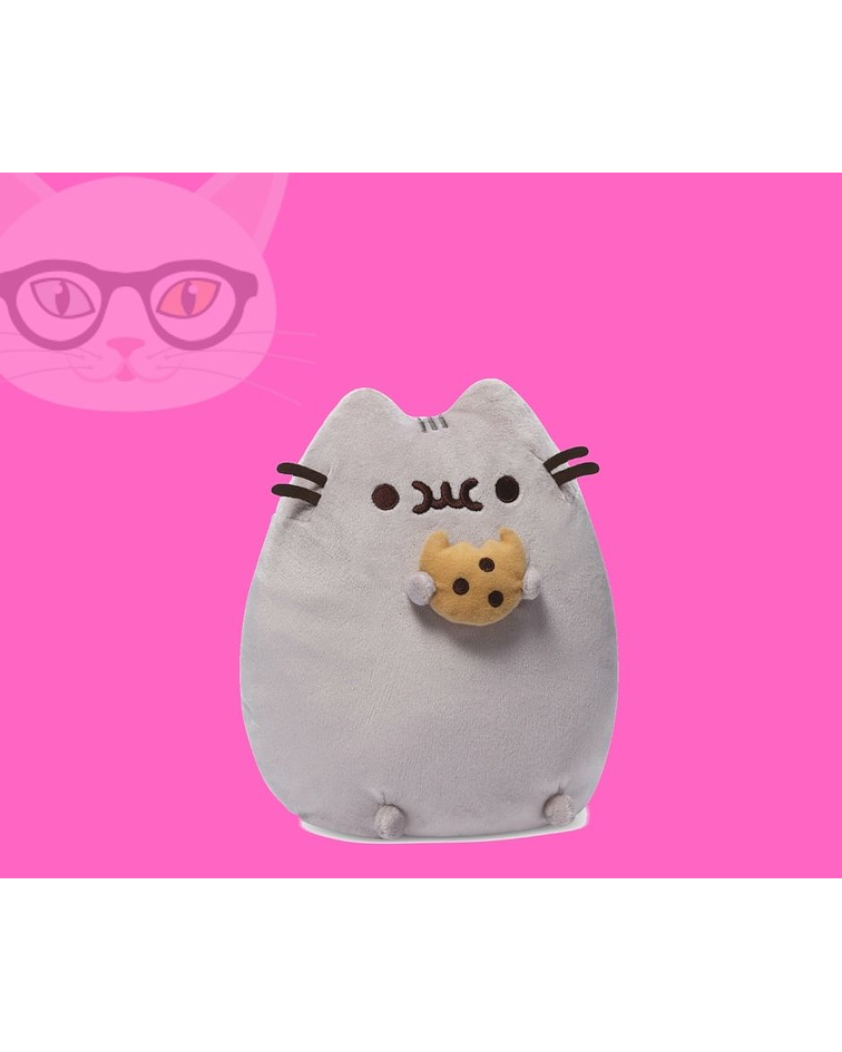 Pusheen con galletita