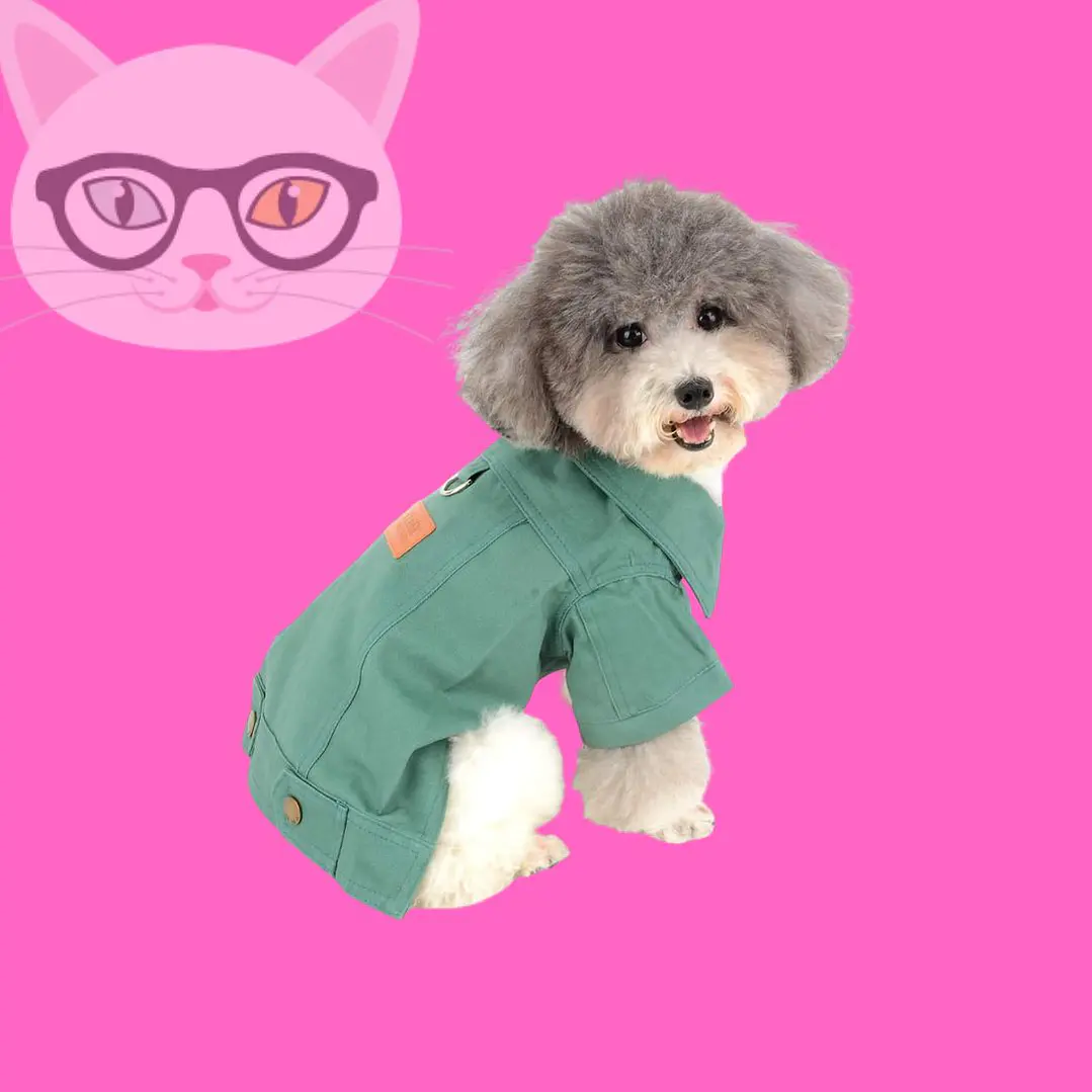 Ropa de mezclilla para mascotas 4