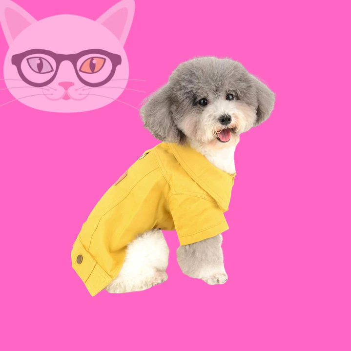 Ropa de mezclilla para mascotas 5