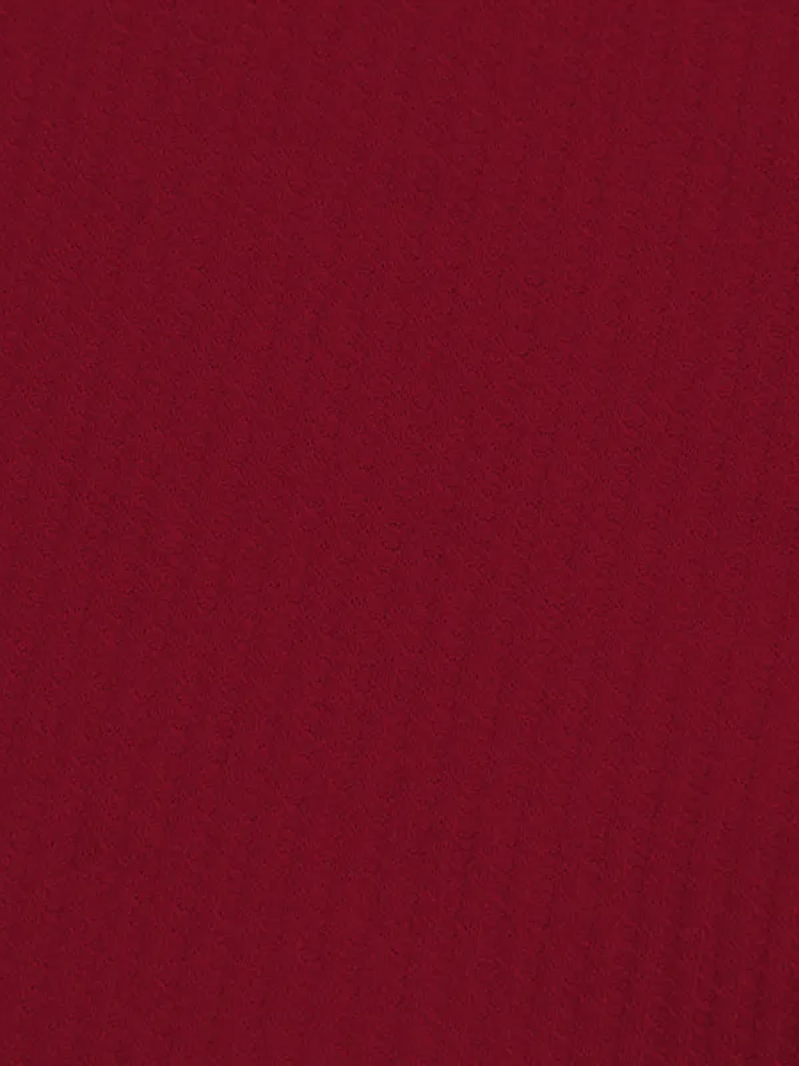 Camiseta polo deportiva  21