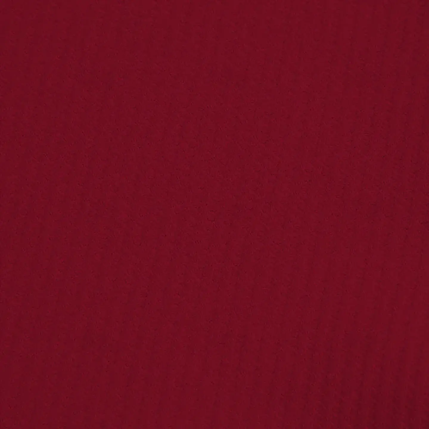 Camiseta polo deportiva  21