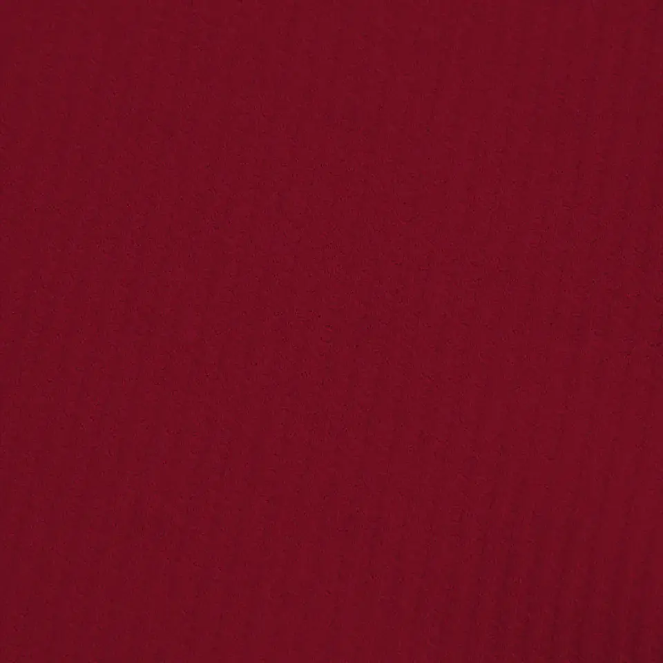 Camiseta polo deportiva  21