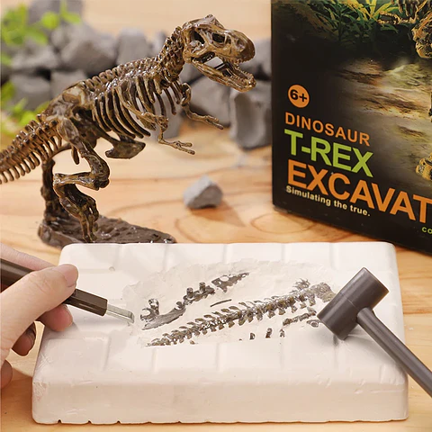 Kit de excavación de fósiles dinosaurios