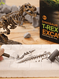 Kit de excavación de fósiles dinosaurios - Miniatura 1