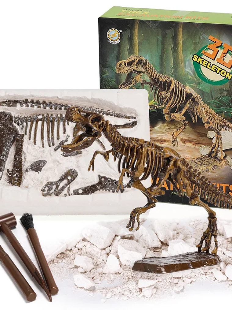 Kit de excavación de fósiles dinosaurios 2
